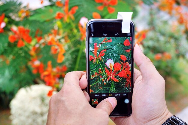 Лучшее приложение для фотографий на Android и iPhone